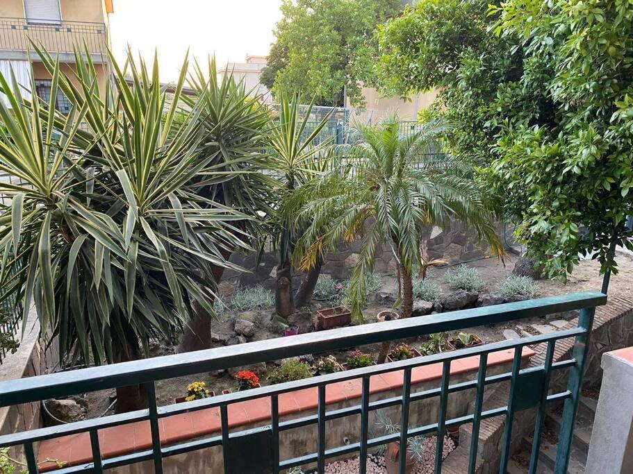 فيلا Casa Vacanze Parco Dei Fiori سكافاتي المظهر الخارجي الصورة